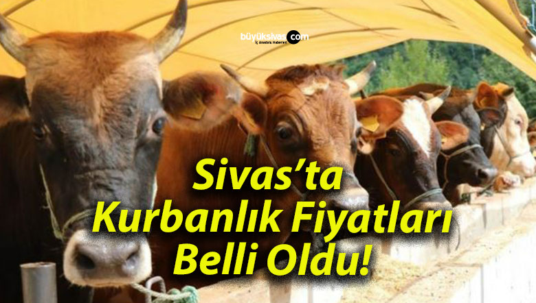 Sivas’ta Kurbanlık Fiyatları Belli Oldu!