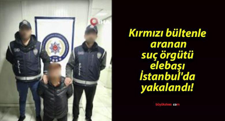 Kırmızı bültenle aranan suç örgütü elebaşı İstanbul’da yakalandı!