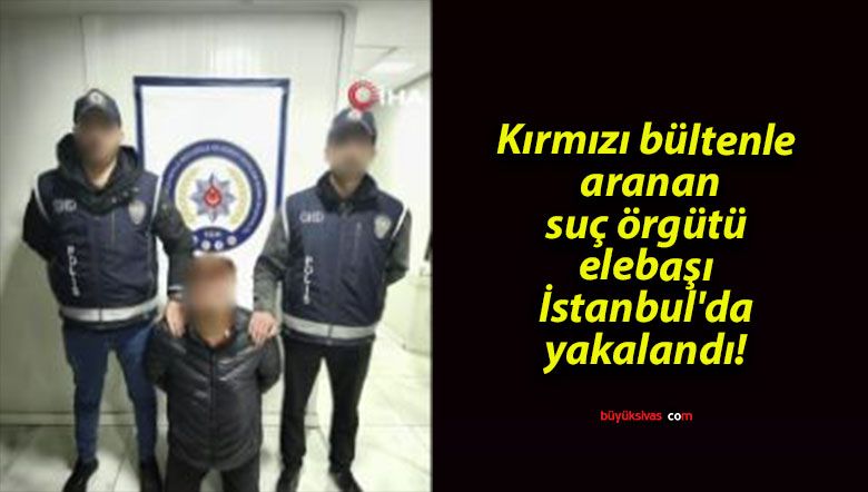 lanıdsa