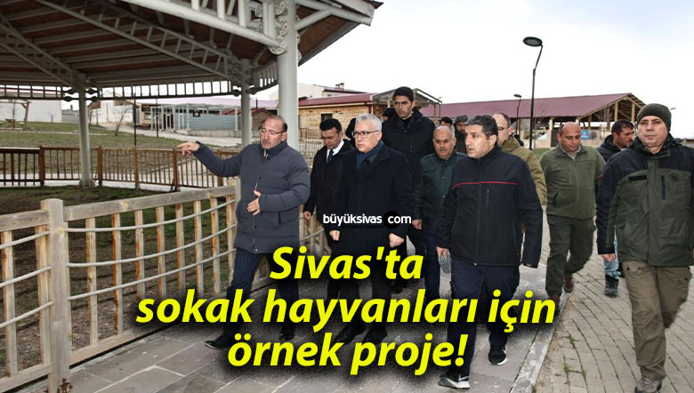neksa