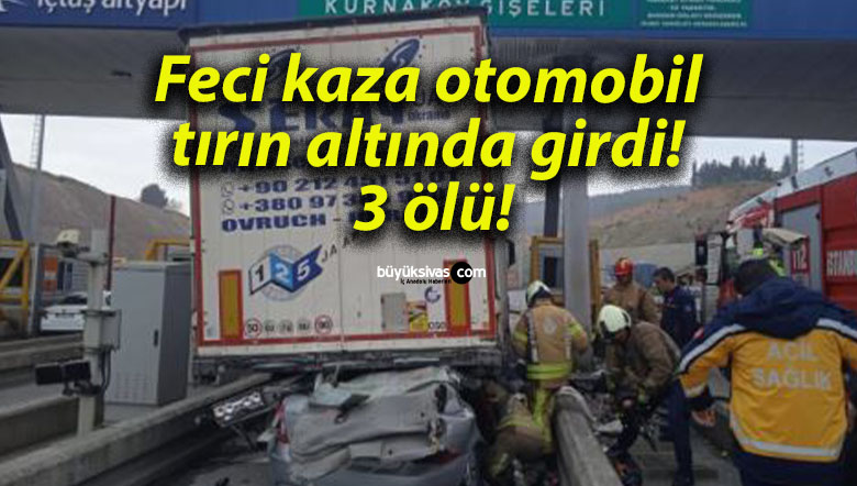 ölüsa