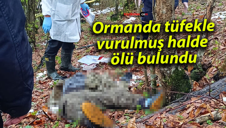 orman