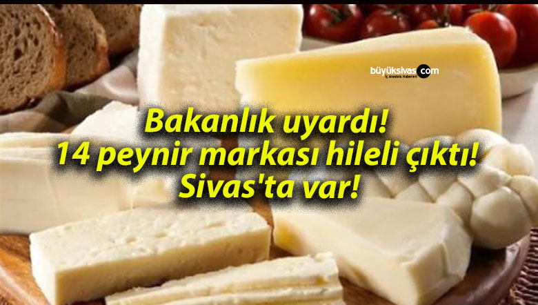 peynir