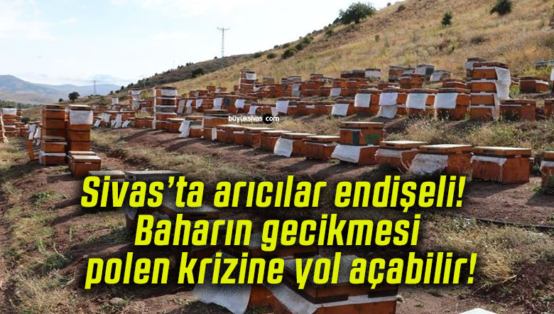 Sivas’ta arıcılar endişeli! Baharın gecikmesi polen krizine yol açabilir!