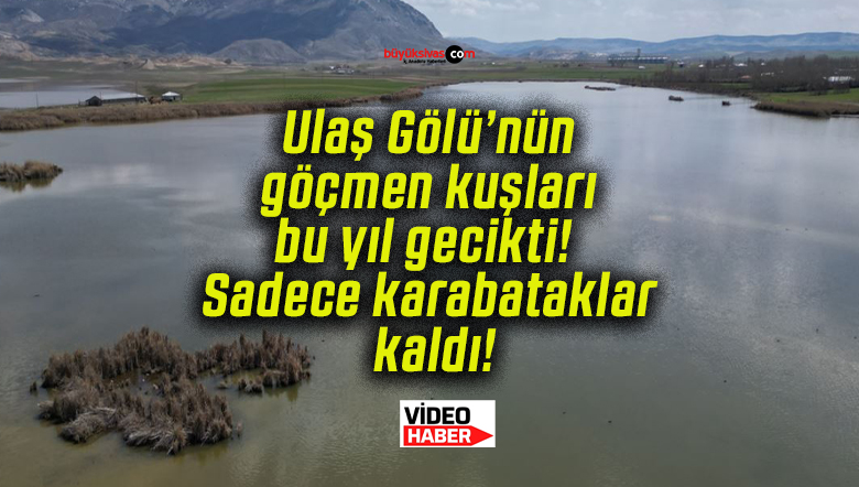 sadece