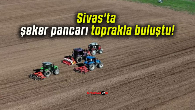 şekers