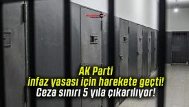 sınırs