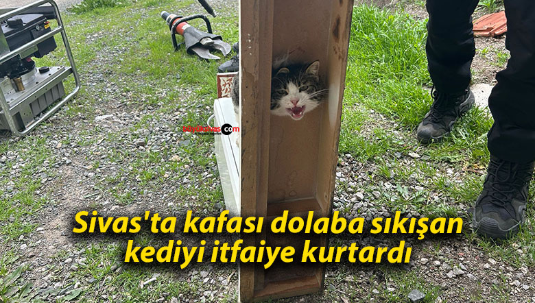 sivas
