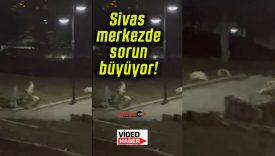 soruns