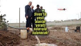 sulanaca