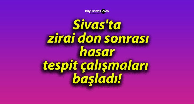 Sivas’ta zirai don sonrası hasar tespit çalışmaları başladı!
