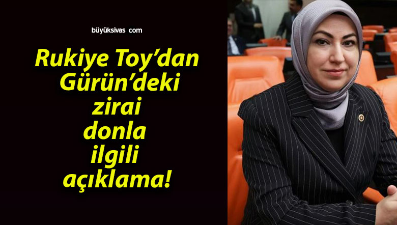toysa