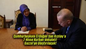 ula