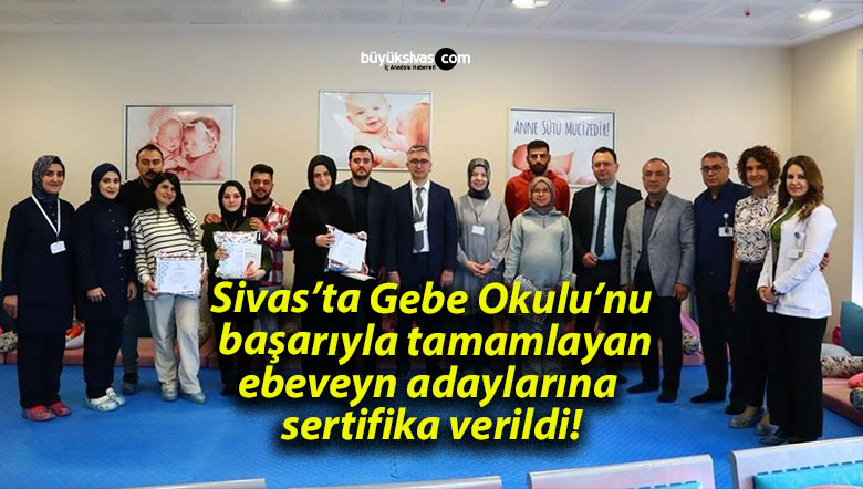 verildsa