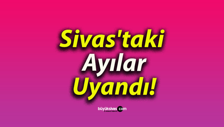 Sivas’taki Ayılar Uyandı!