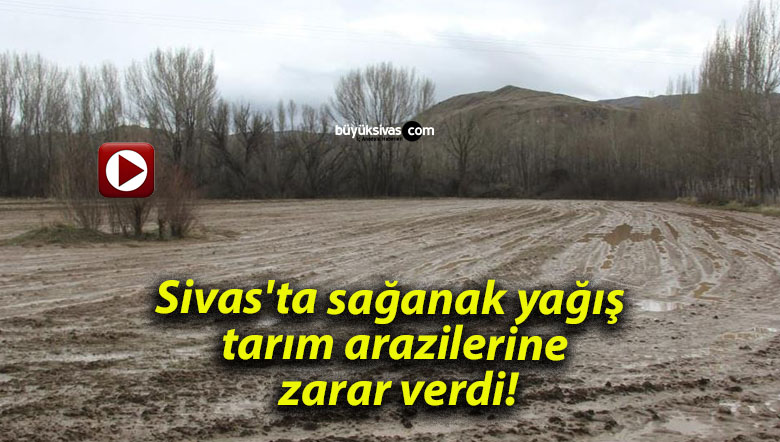 Sivas’ta sağanak yağış tarım arazilerine zarar verdi!