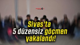 zens