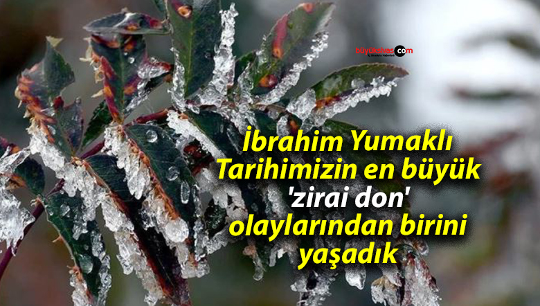 İbrahim Yumaklı: Tarihimizin en büyük ‘zirai don’ olaylarından birini yaşadık