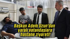 ziyarets
