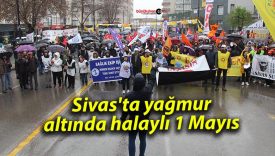 Sivas’ta 1 Mayıs coşkusu yağmur altında halaylarla yaşandı