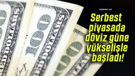 Serbest piyasada döviz güne yükselişle başladı!