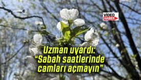 Uzman uyardı: “Sabah saatlerinde camları açmayın”