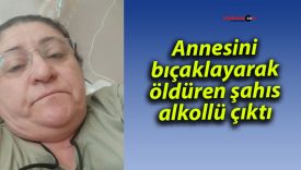 Tartıştığı annesini bıçaklayarak öldürdü