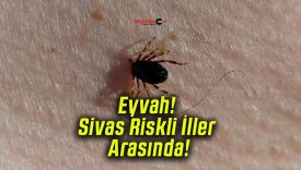 Eyvah! Sivas Riskli İller Arasında!