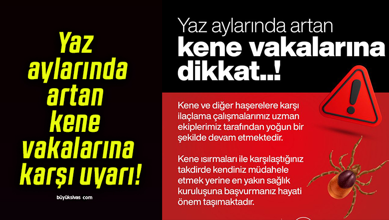 aylarısa