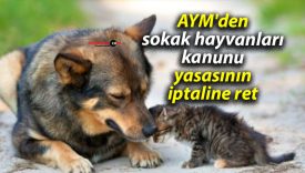 AYM’den sokak hayvanları kanunu yasasının iptaline ret