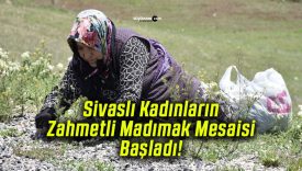 Sivaslı Kadınların Zahmetli Madımak Mesaisi Başladı!