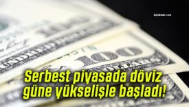 Serbest piyasada döviz güne yükselişle başladı!