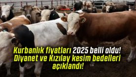 Kurbanlık fiyatları 2025 belli oldu! Diyanet ve Kızılay kesim bedelleri açıklandı!