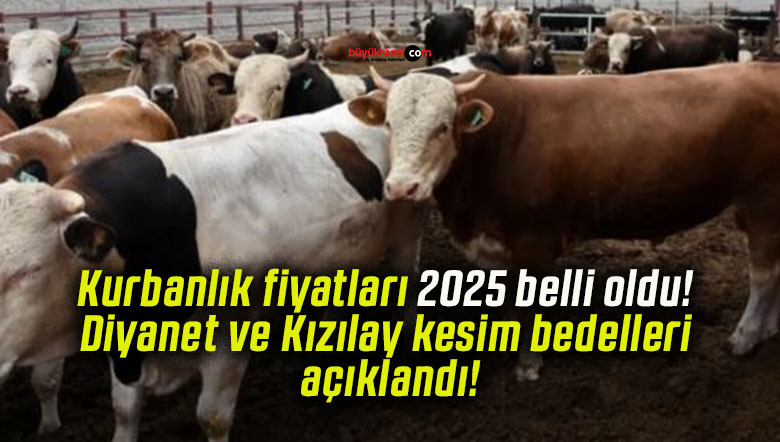 Kurbanlık fiyatları 2025 belli oldu! Diyanet ve Kızılay kesim bedelleri açıklandı!