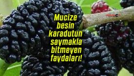 Mucize besin karadutun saymakla bitmeyen faydaları!
