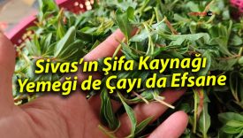 Sivas’ın Şifa Kaynağı Yemeği de Çayı da Efsane