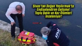 Sivas’tan Doğan Yeşilırmak’ta Endişelendiren Gelişme! Toplu Balık ve Kaz Ölümleri İnceleniyor!