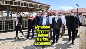 Meraküm Hayvan Bakım ve Rehabilitasyon Merkezi’nde inceleme!