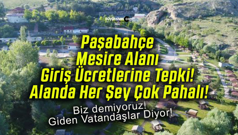daşa