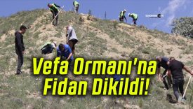 Vefa Ormanı’na Fidan Dikildi!