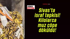 Sivas’ta israf tepkisi! Kilolarca muz çöpe döküldü!