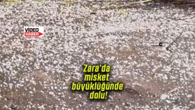 Zara’da misket büyüklüğünde dolu yağdı! Tarım arazileri zarar gördü!