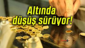 Altında düşüş sürüyor!