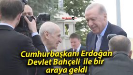 Cumhurbaşkanı Erdoğan, Devlet Bahçeli ile bir araya geldi