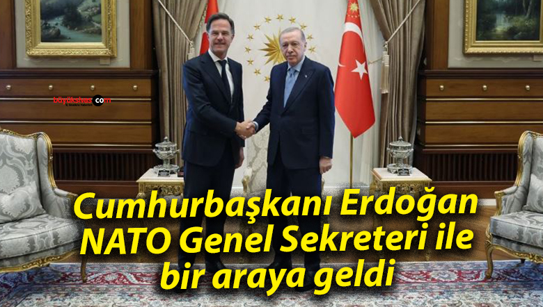 Cumhurbaşkanı Erdoğan, NATO Genel Sekreteri ile bir araya geldi