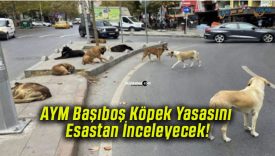 AYM Başıboş Köpek Yasasını Esastan İnceleyecek!