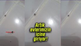 Artık evlerimizin içine giriyor!