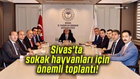 Sivas’ta sokak hayvanları için önemli toplantı!