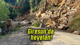 Giresun’da heyelan!