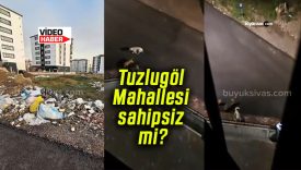 Tuzlugöl Mahallesi sahipsiz mi?